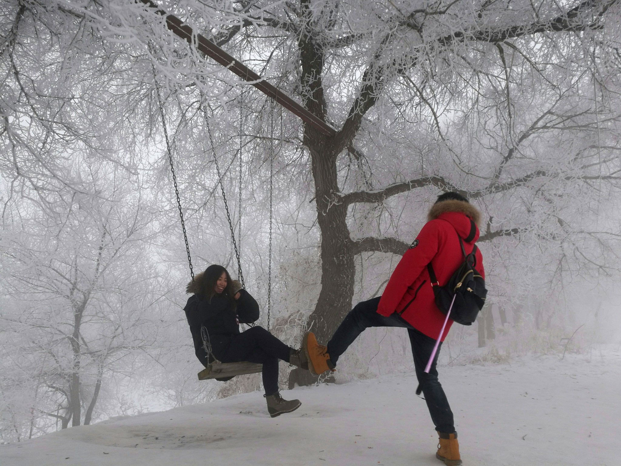 清晖映幕,素液凝庭 —— 长白山,雾凇岛,雪谷,哈尔滨,一个看雪的小