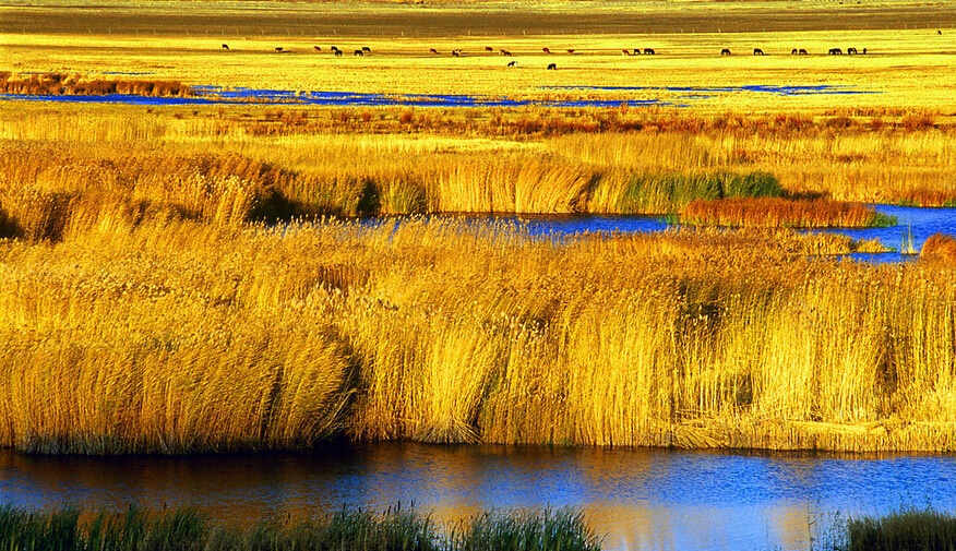 朝阳区2020GDP_北京市朝阳区地图(2)