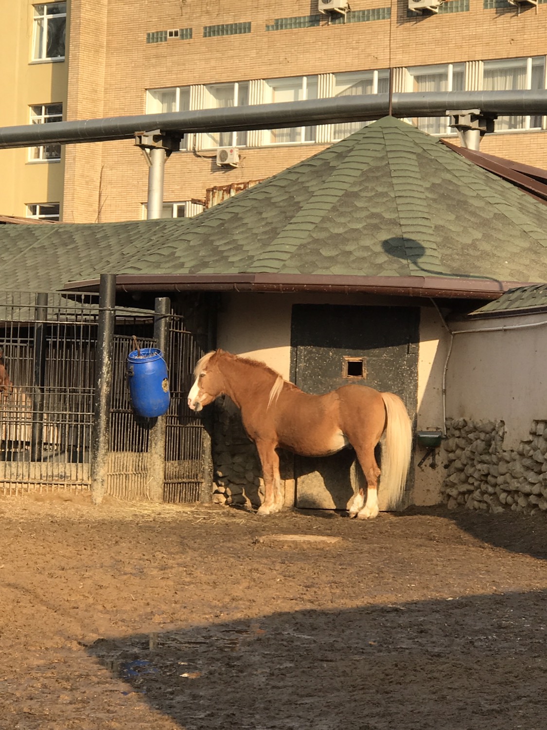 zoo俄罗斯