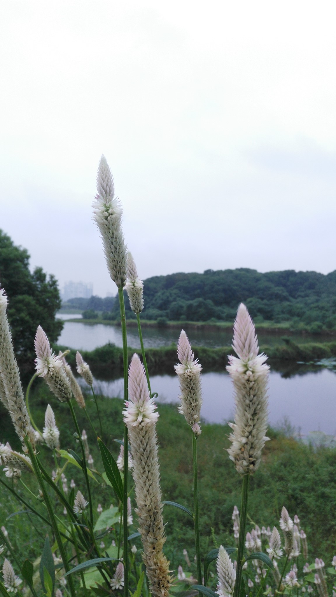 深圳东门步行街、夜市,偶尔去转转,还行