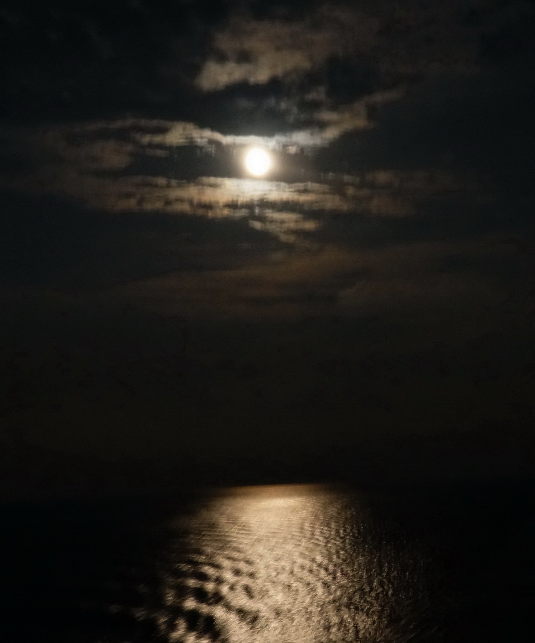抒情号邮轮散记: 海上望明月