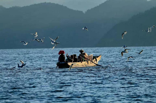 乘坐泸沽湖岸的摩梭人划的猪槽船游湖(登鸟岛