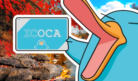 日本ICOCA交通卡 大阪\/京都\/神户\/奈良等全日