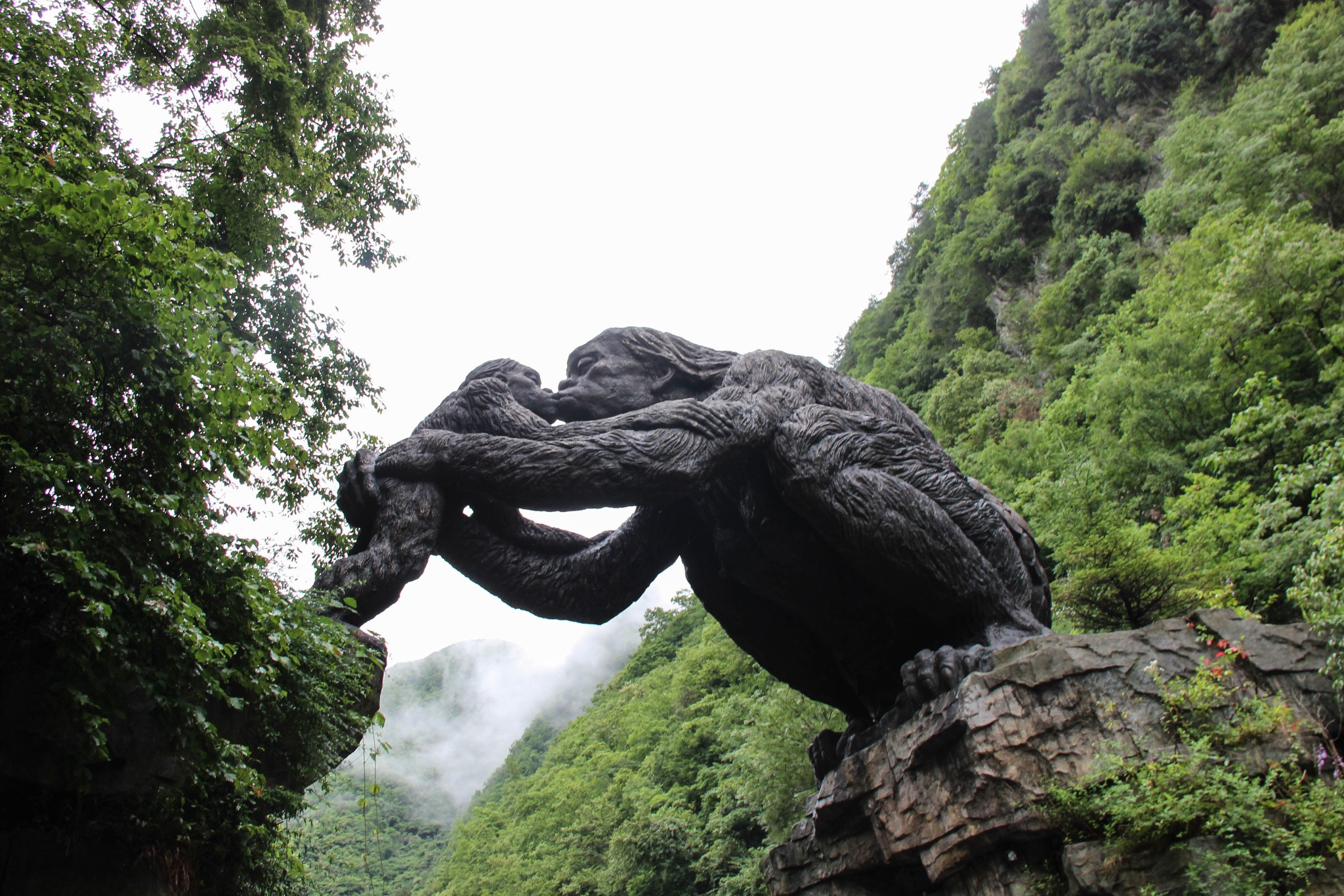 神农架是神农顶,大九湖,官门山,神农坛,天生桥,天燕六景区联合组成的