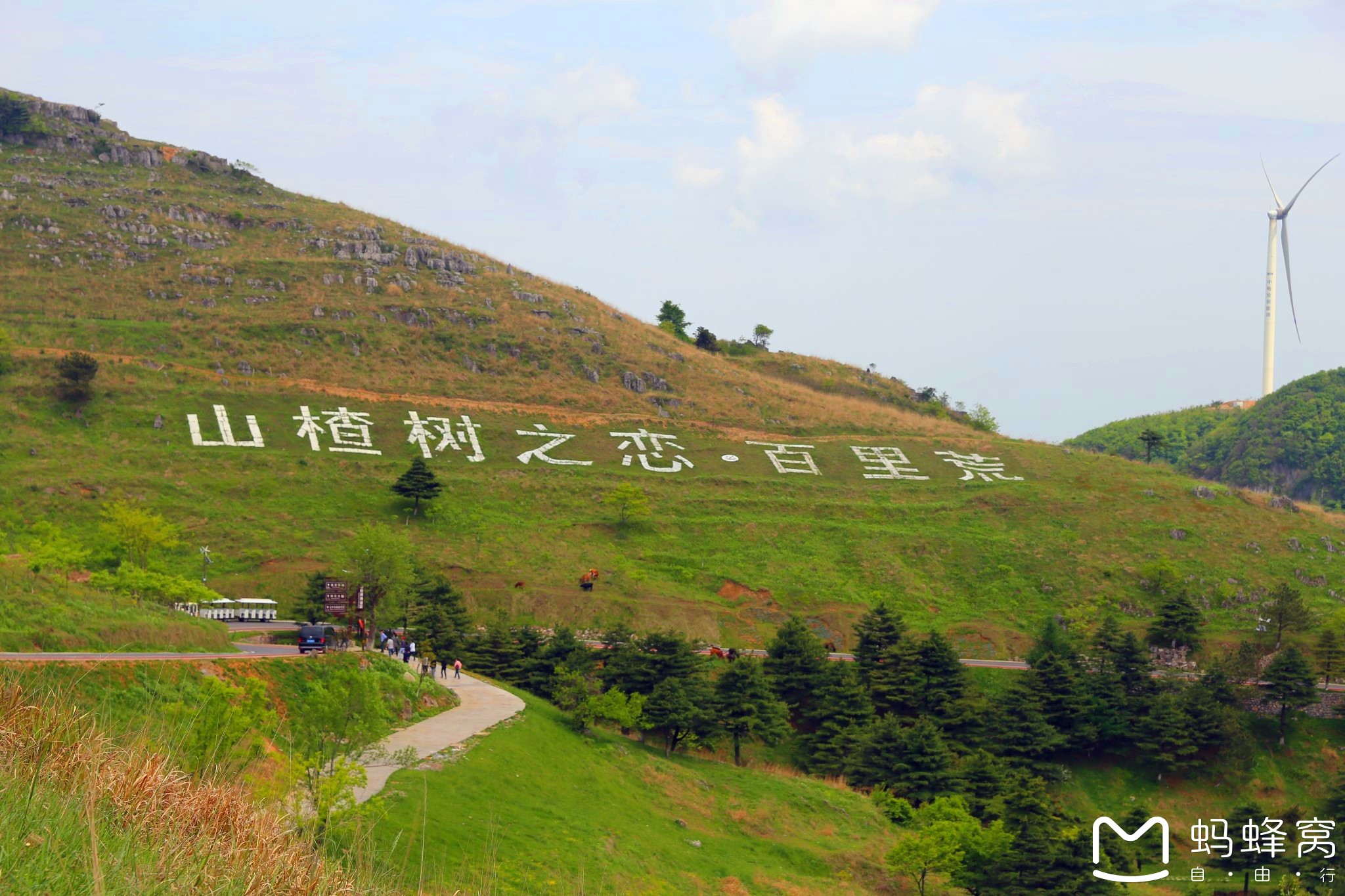 宜昌百里荒生态旅游区      