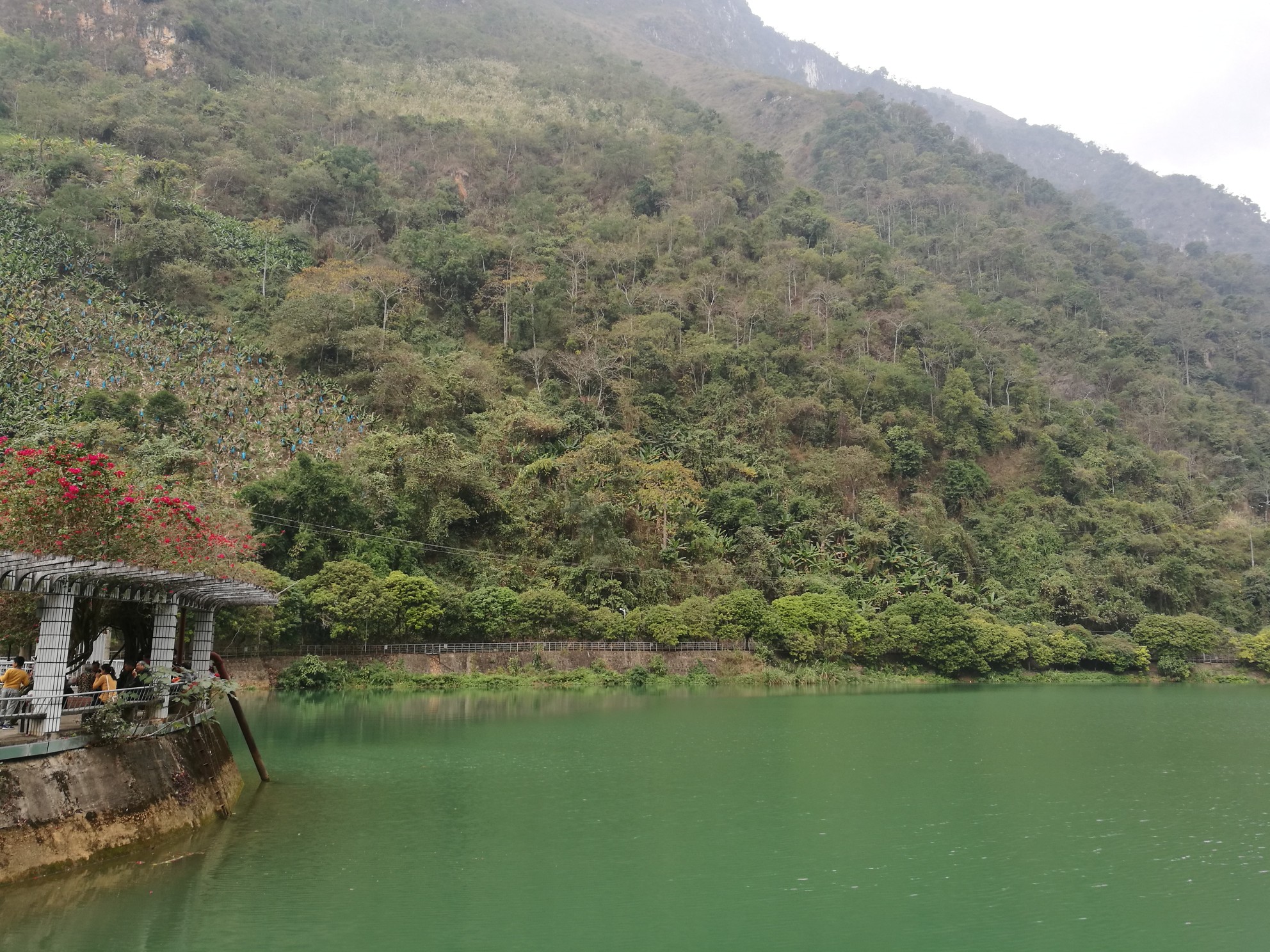 探访个旧绿水河热带雨林