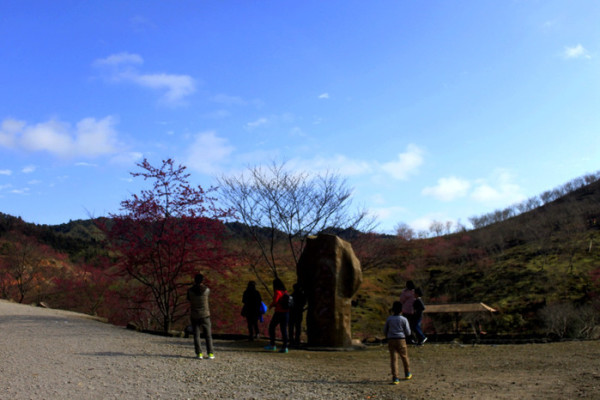 汪峪街道风景