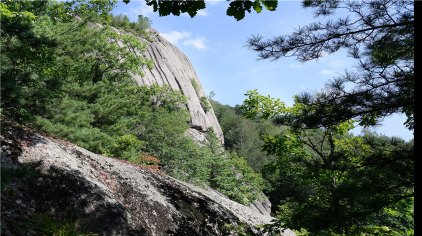 红石石峰景区的六大亮点让您不虚此行: 一是物种丰富,生态完好.