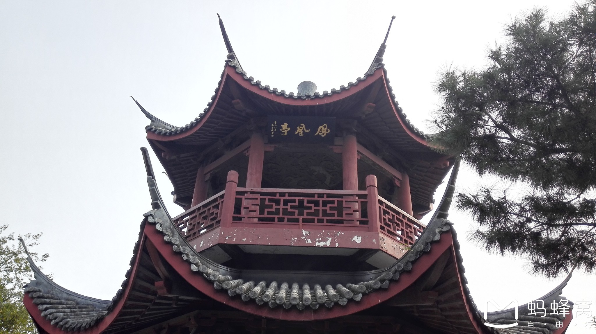 周末爬凤凰山游览凤凰亭,中山纪念林碑,老虎洞窑遗址等