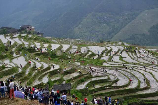 上午:10:00开始  ----地点---- 龙脊梯田 景区龙脊古壮寨