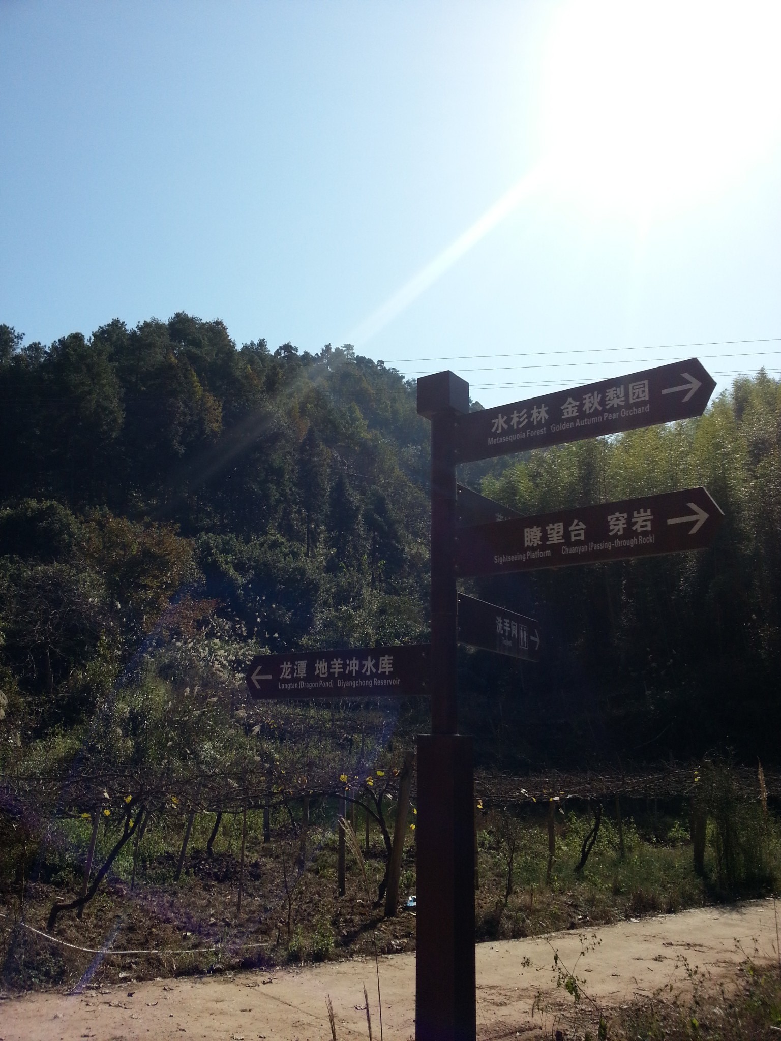 靖州森林公园        