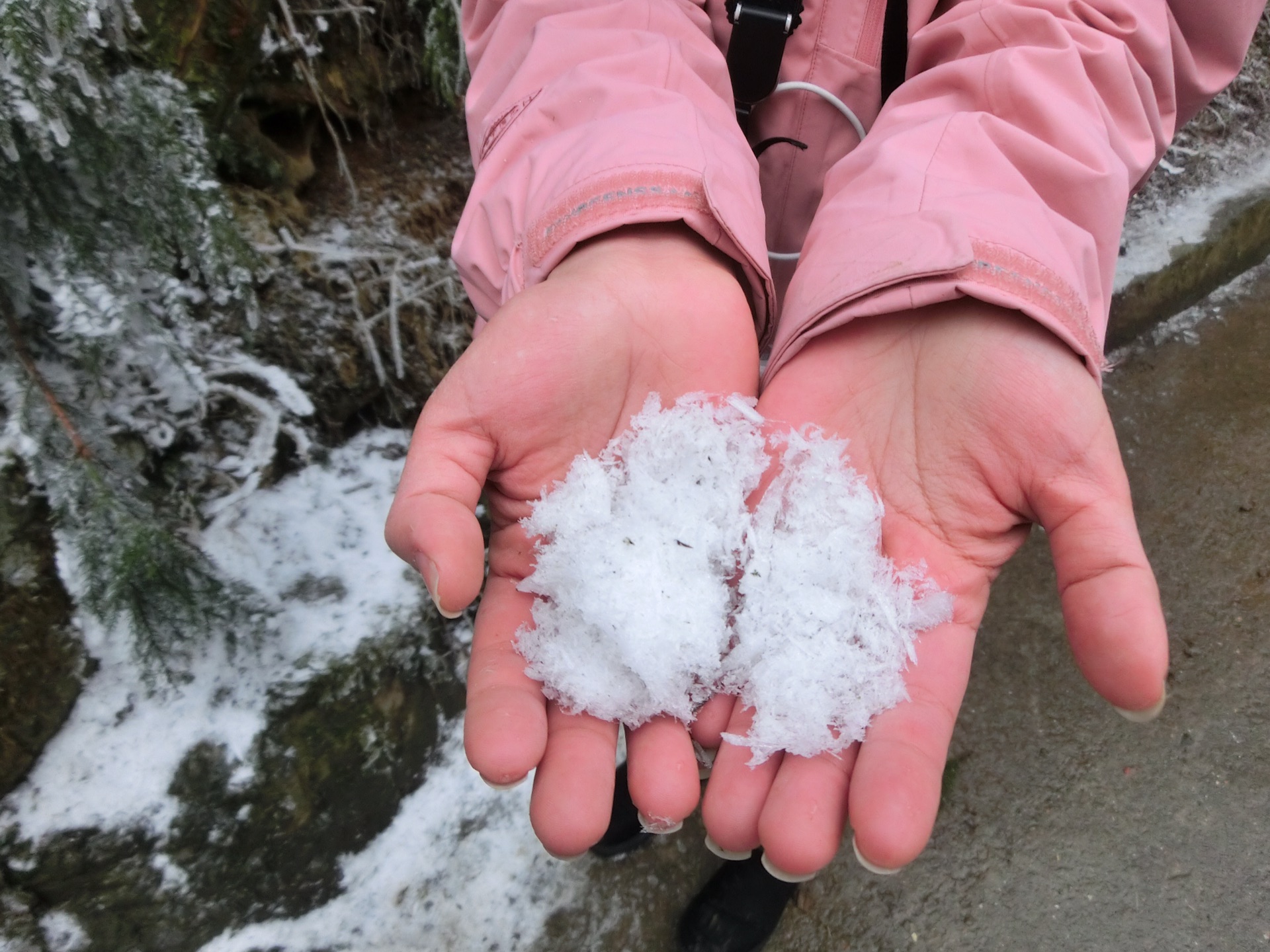 越往这边走越冷 结冰越厉害 手上都能捧出一堆雪霜了