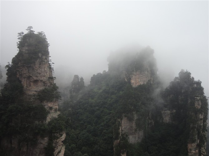 张家界有多少人口_...安静的一个人去张家界旅行