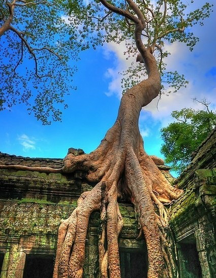 寺院人口_寺院钟图(2)