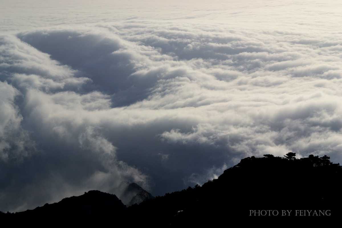 yinyinwoinfo高清图片