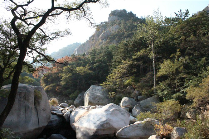崂山郑张人口_崂山啤酒