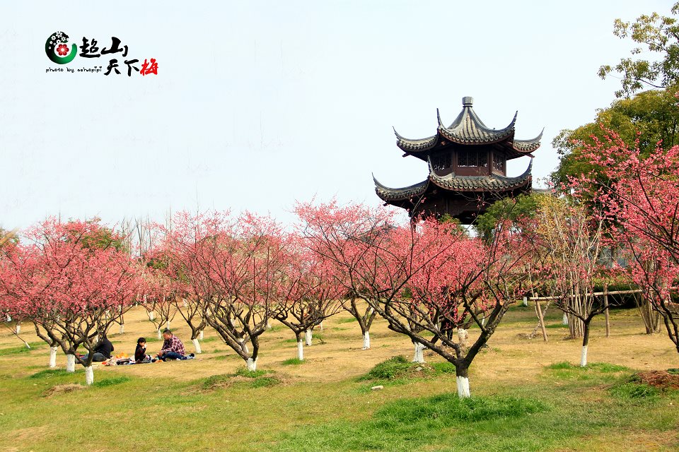 杭州超山风景区门票