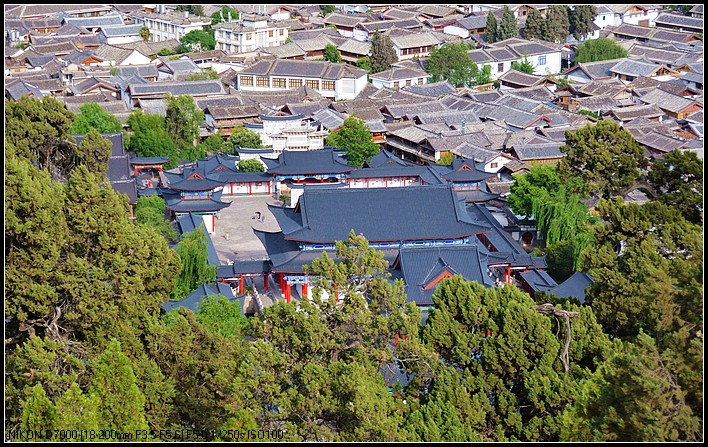 丽江多少人口_丽江古城图片(3)