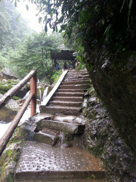 青城山-后山旅游攻略,徒步线路,景点介绍,青城天下幽