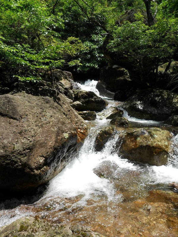 金溪县何源太山景区