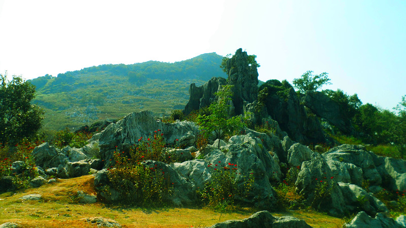 邵阳到乐平旅游