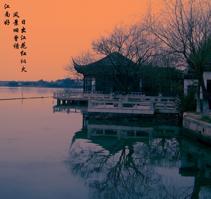 古莲人口_古莲林场(2)