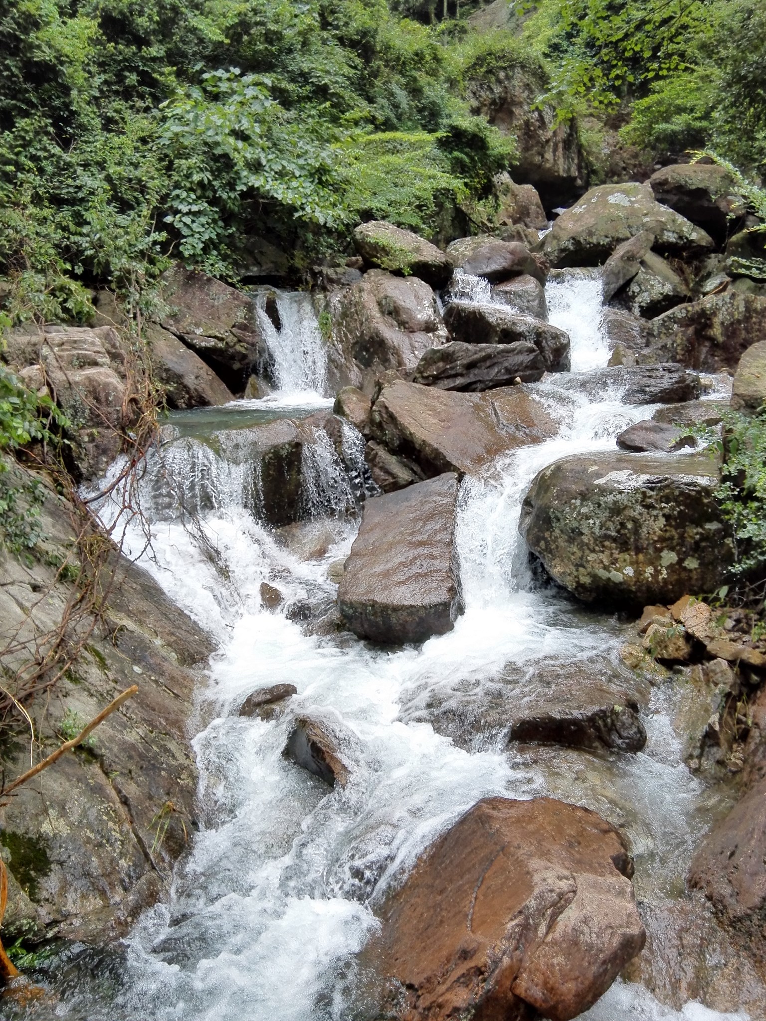 雁荡山净名谷景区       