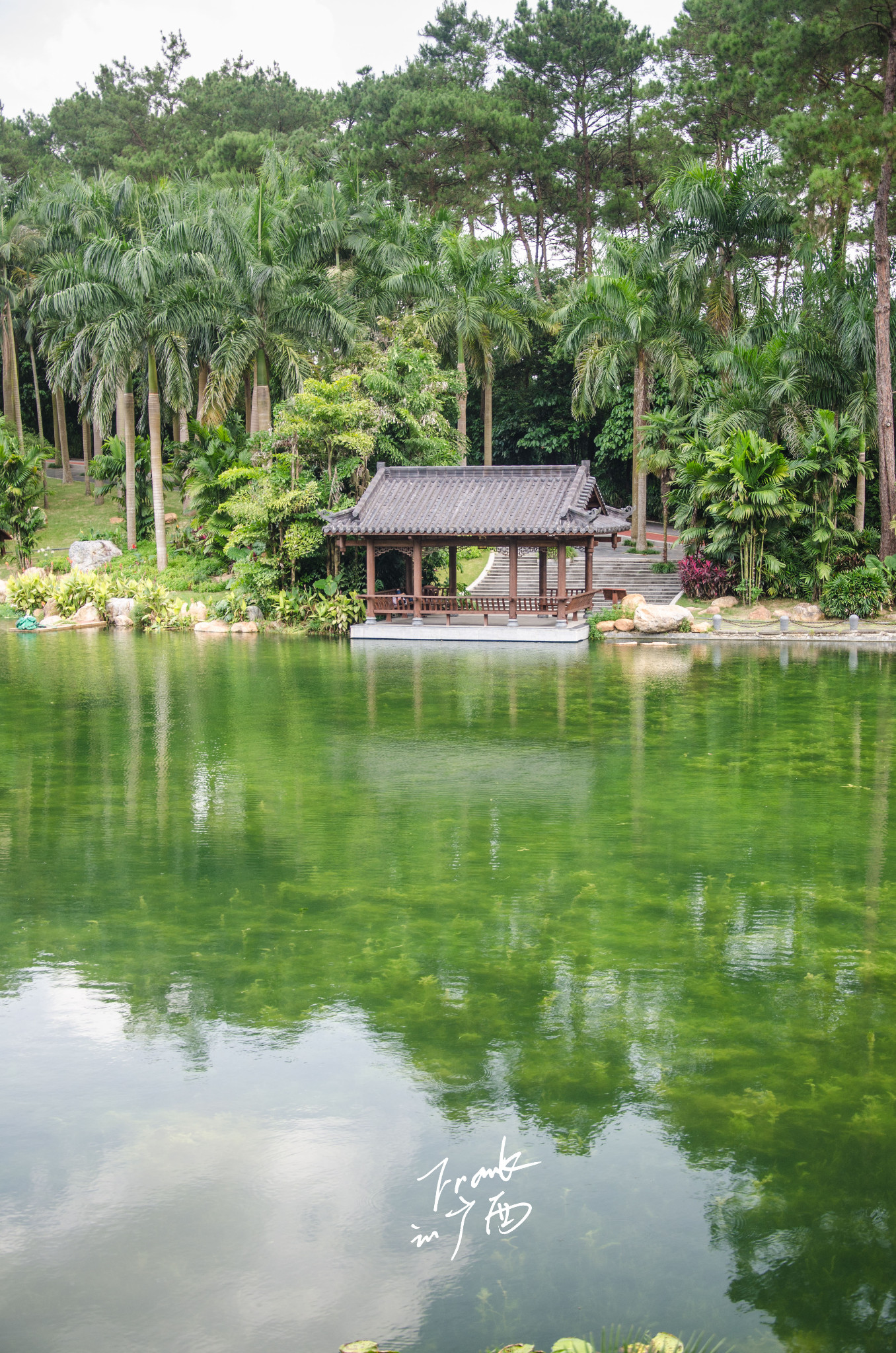 青秀山风景区        