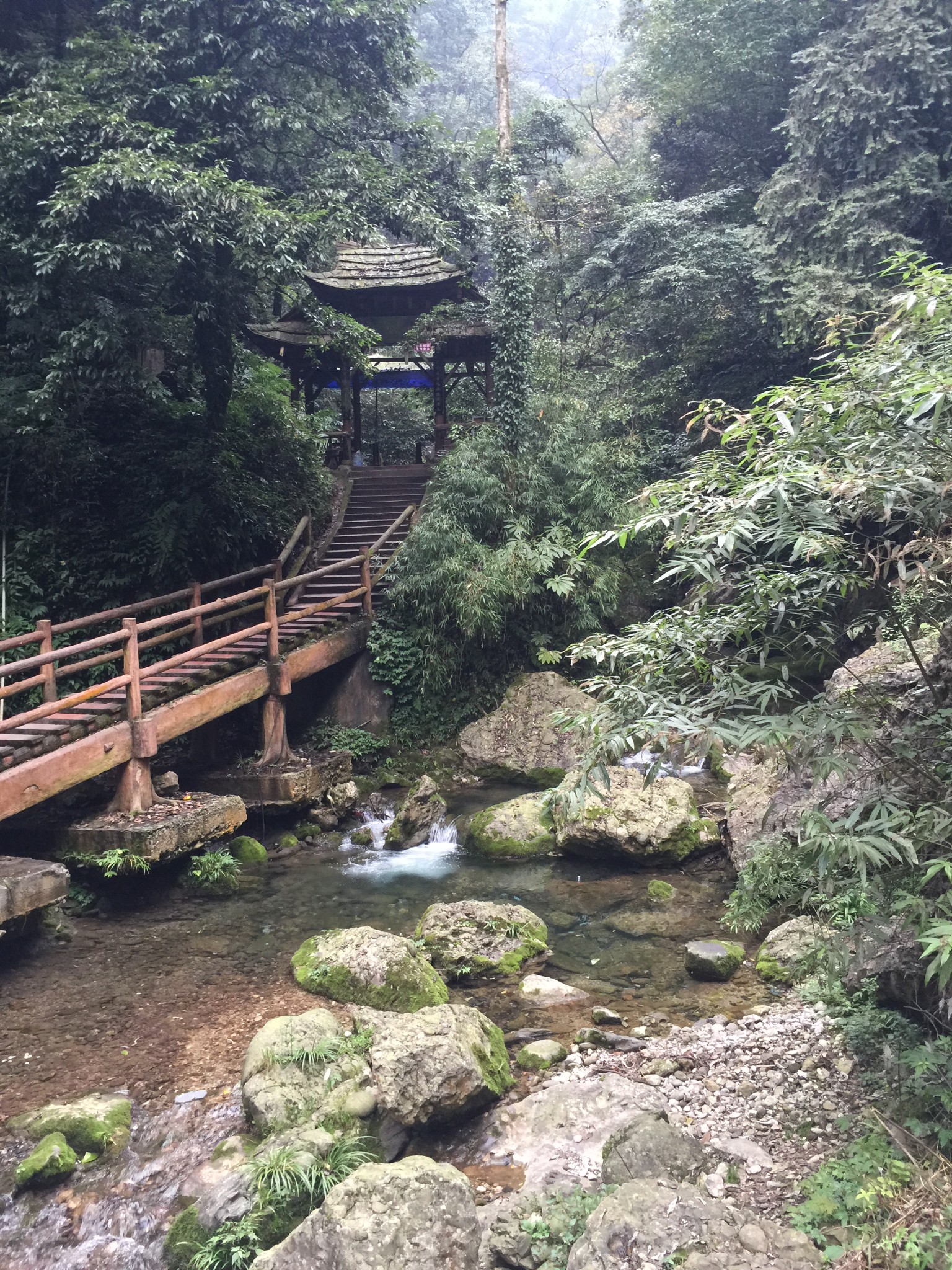 青城山后山         