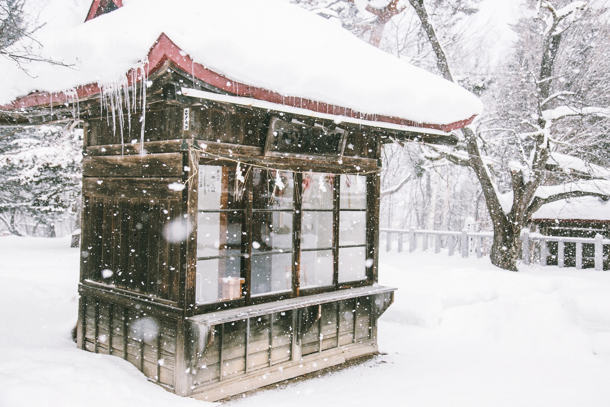 冬の北海道,雪中瞬息的浪漫.