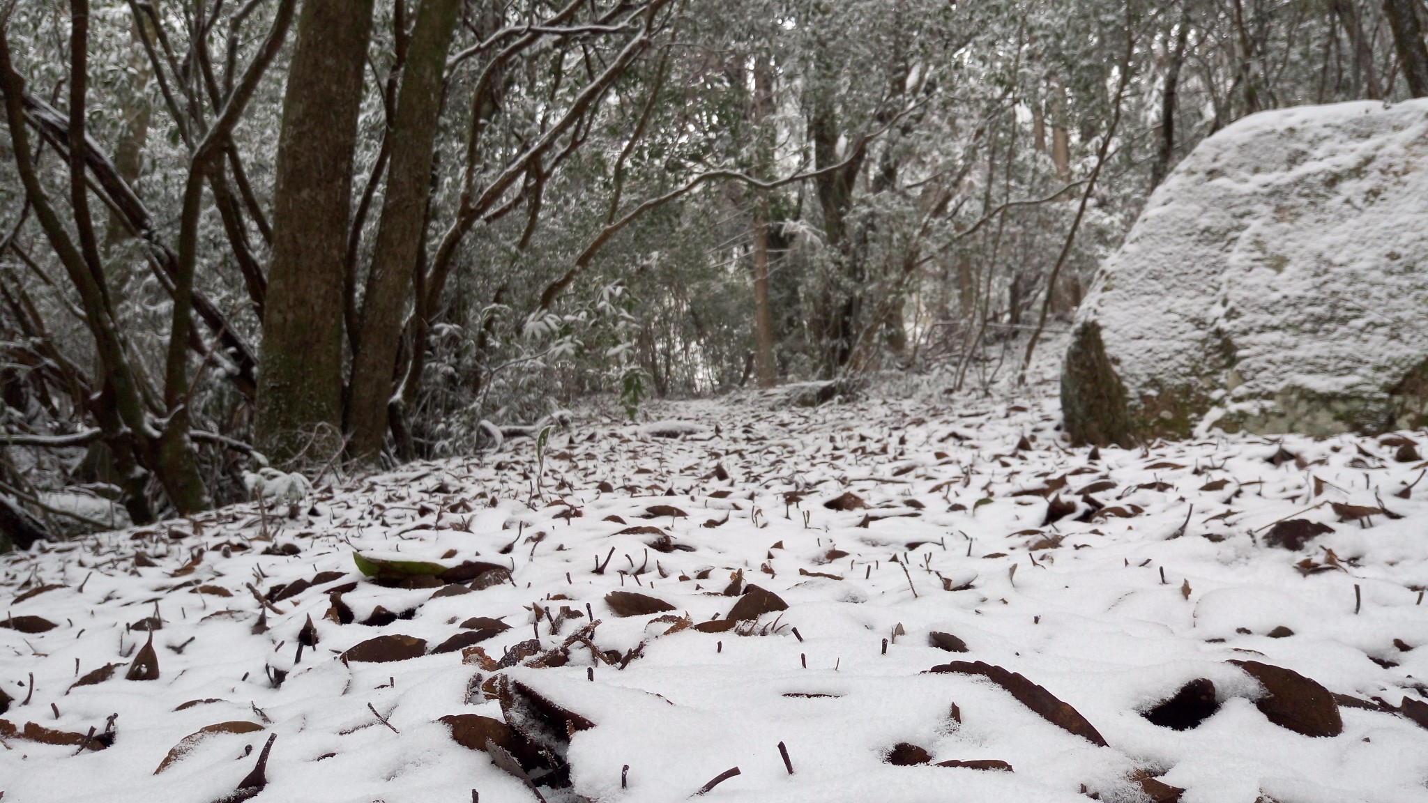 越往后面走,雪就越厚,当时就突然想到红军长征过雪地