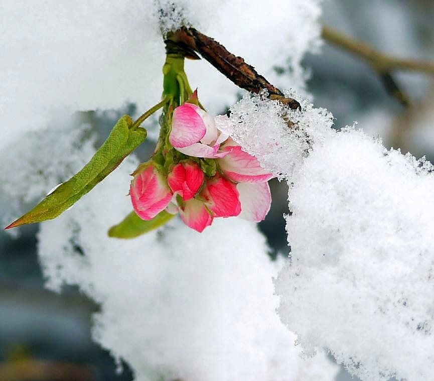 【康定天气】康定天气预报一周,四川康定天气预报