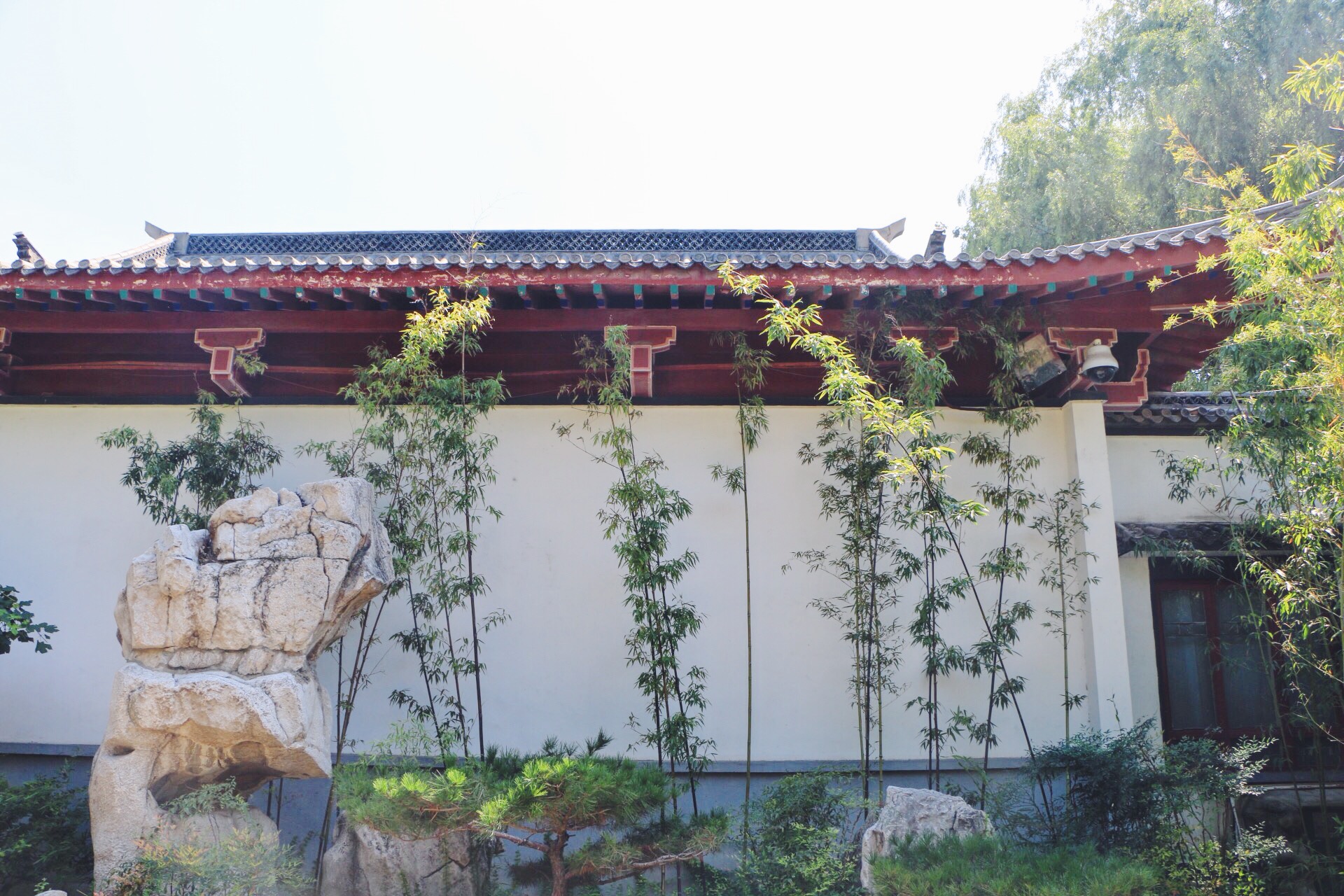 大明湖的夏雨荷_大明湖一年收入多少钱(2)