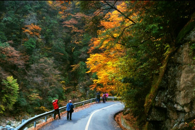 诗情画意光雾山—红叶最佳观赏地图片