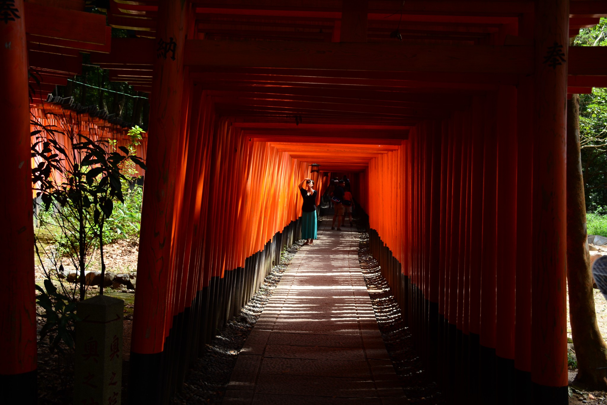 千本鸟居          