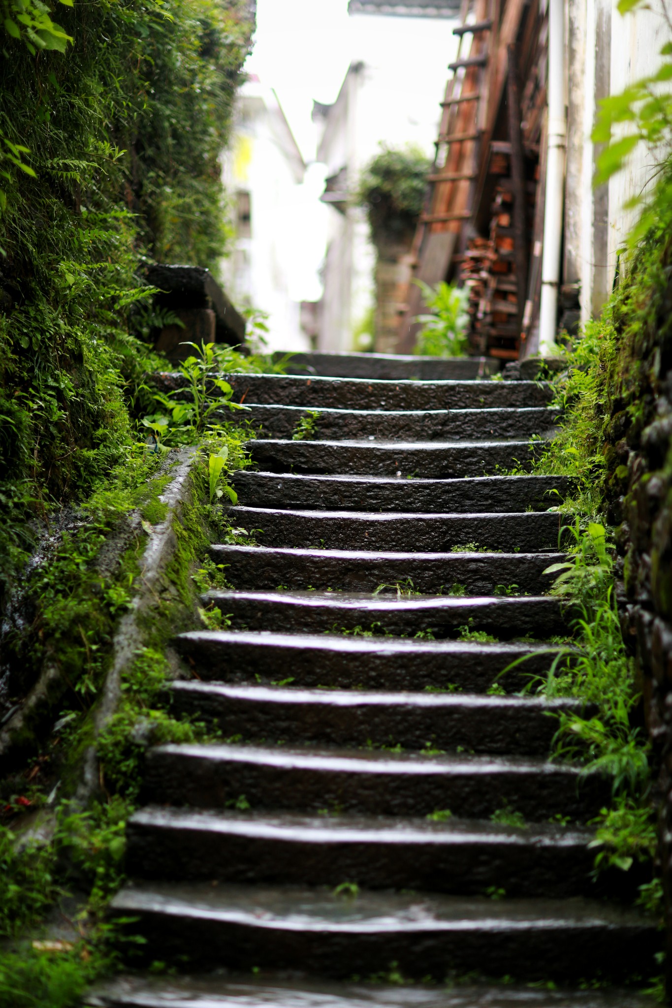 山重水路疑无路柳暗花明又一村猜成语