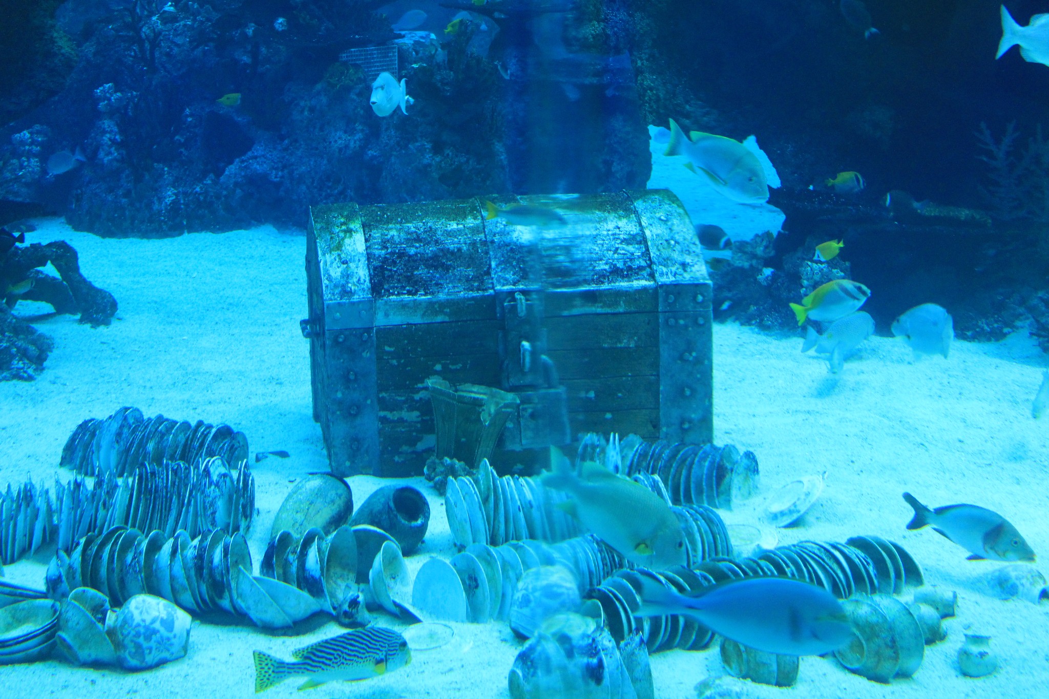 新加坡酒店_新加坡旅游景点_新加坡收入消费(2)