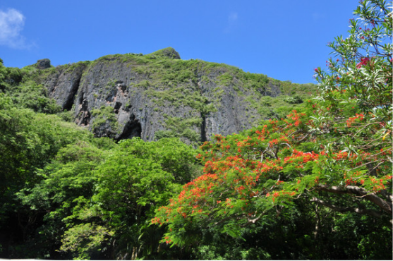 终于实现的塞班之行,7天玩得超嗨!