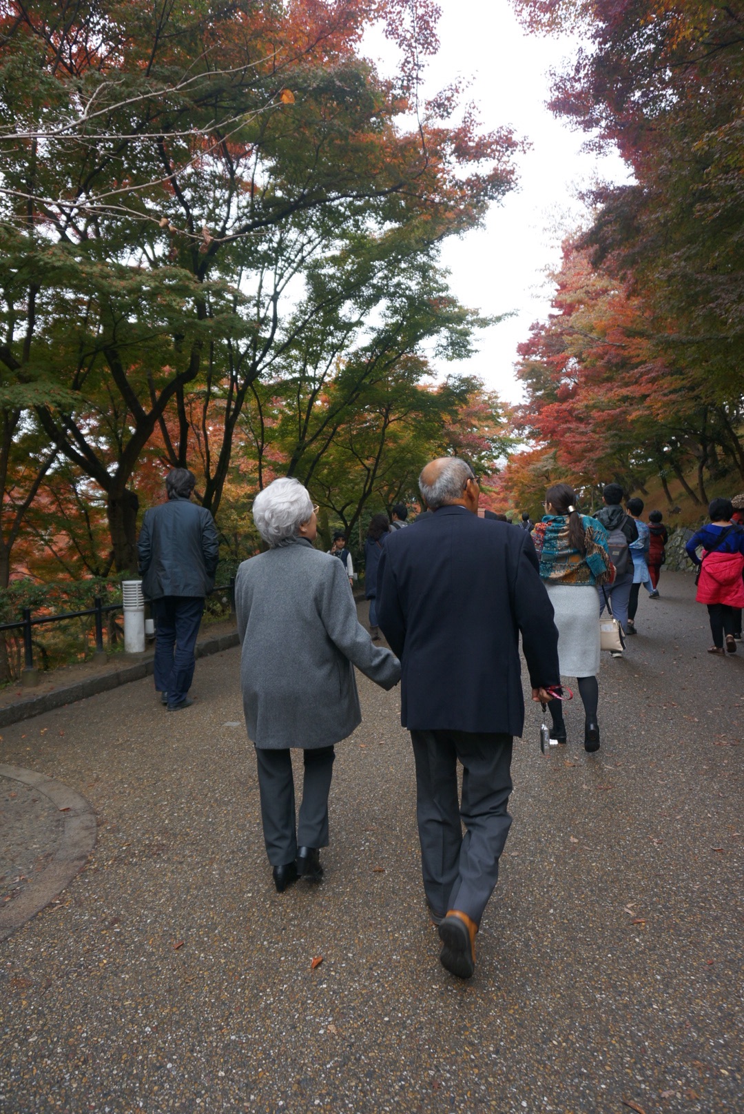日本老爷爷老奶奶牵手赏枫,很有爱喔～这是我们看到的第一对,也不是