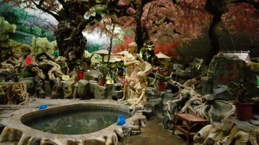瓦房店香洲旅游度假区桃花源酒店