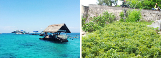 1. 含海底漫步的套餐选项,儿童与成人同价,(12岁以上才可以参加); 2. BBQ及自助晚餐是指海鲜以BBQ套餐形式每人一份,另外加上非海鲜类的自助餐食; 3. 在当地有任何意外情况或者行程进行中有任何与预订要求不符合的情况,请立即联系我们客服人员,我们会及时处理解决。行程结束后,我们无法追究责任和补偿退款; 4.