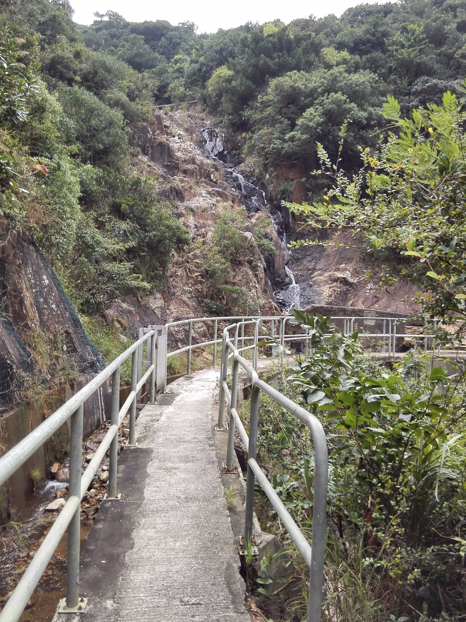 香港有人口山_香港人口密度(3)