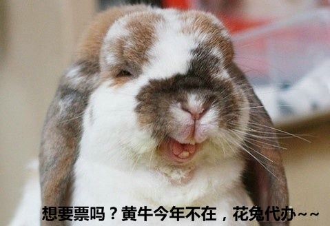 wKgBm04Zhv3vIPXZAADfUUIWBQ855.jpeg?imageView2%2F2%2Fw%2F680%2Fq%2F90