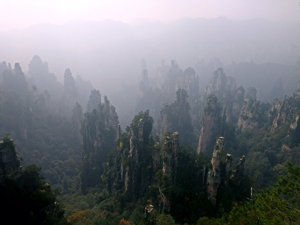 张家界有多少人口_...安静的一个人去张家界旅行(3)