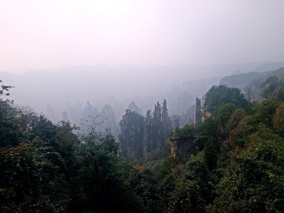 张家界有多少人口_...安静的一个人去张家界旅行(2)