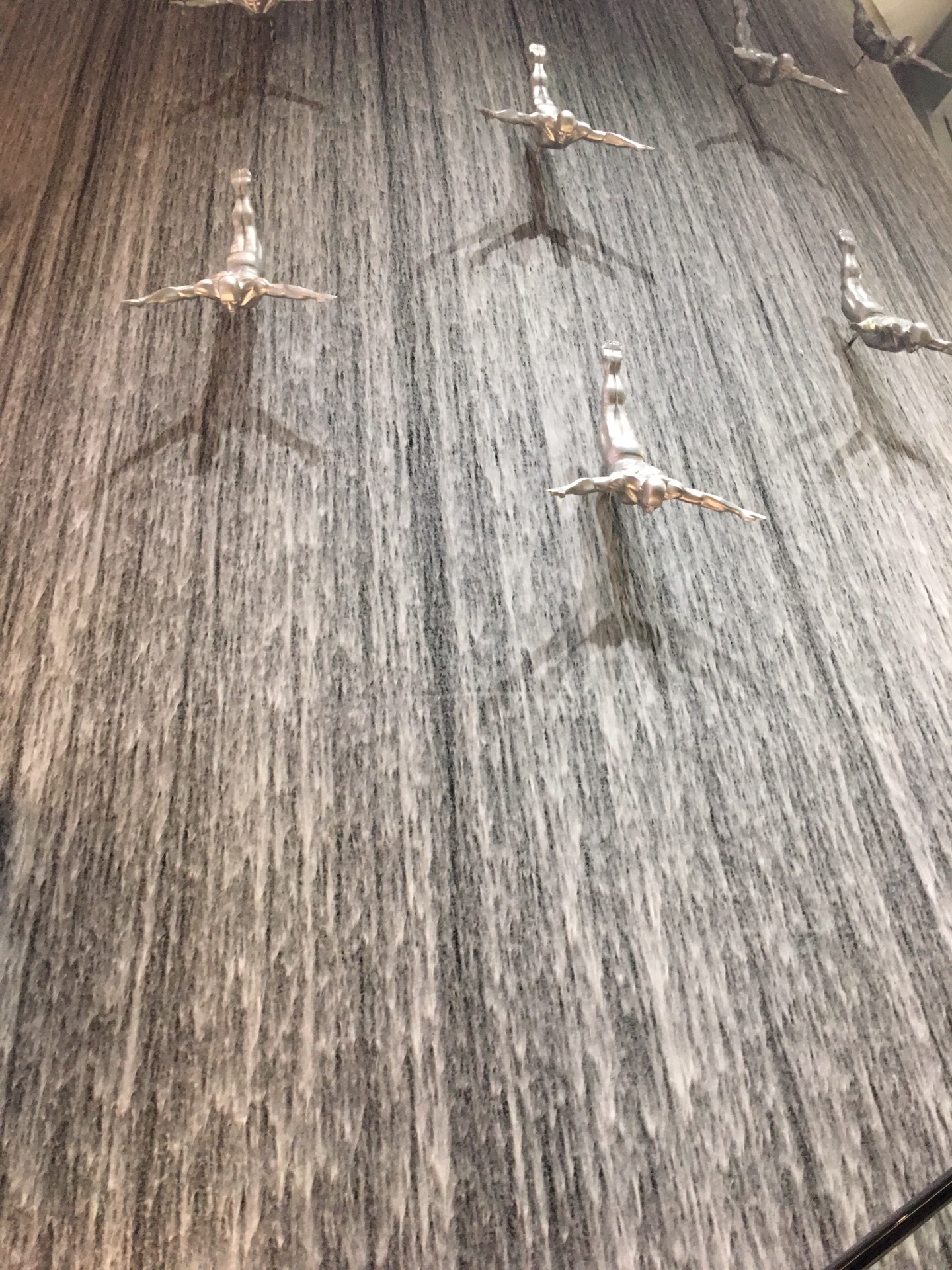 为了跳伞去迪拜!