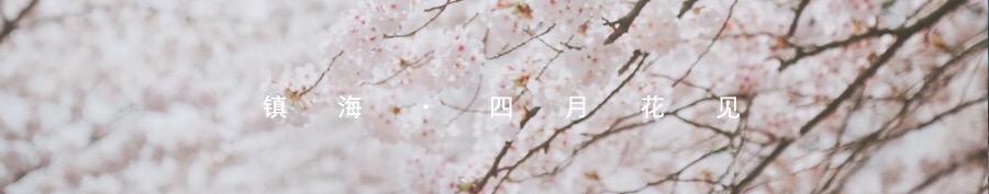 鎮海，四月花見