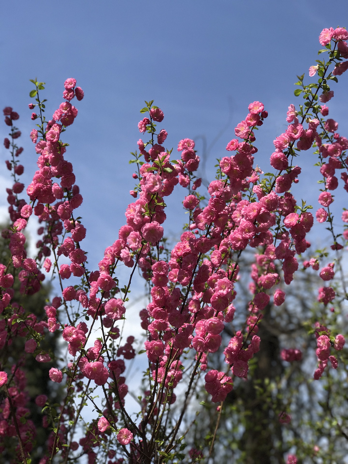 wKgBZ1jlp7-AGcYMAAu8ioVJjuM48.jpeg?imageView2%2F2%2Fw%2F680%2Fq%2F90