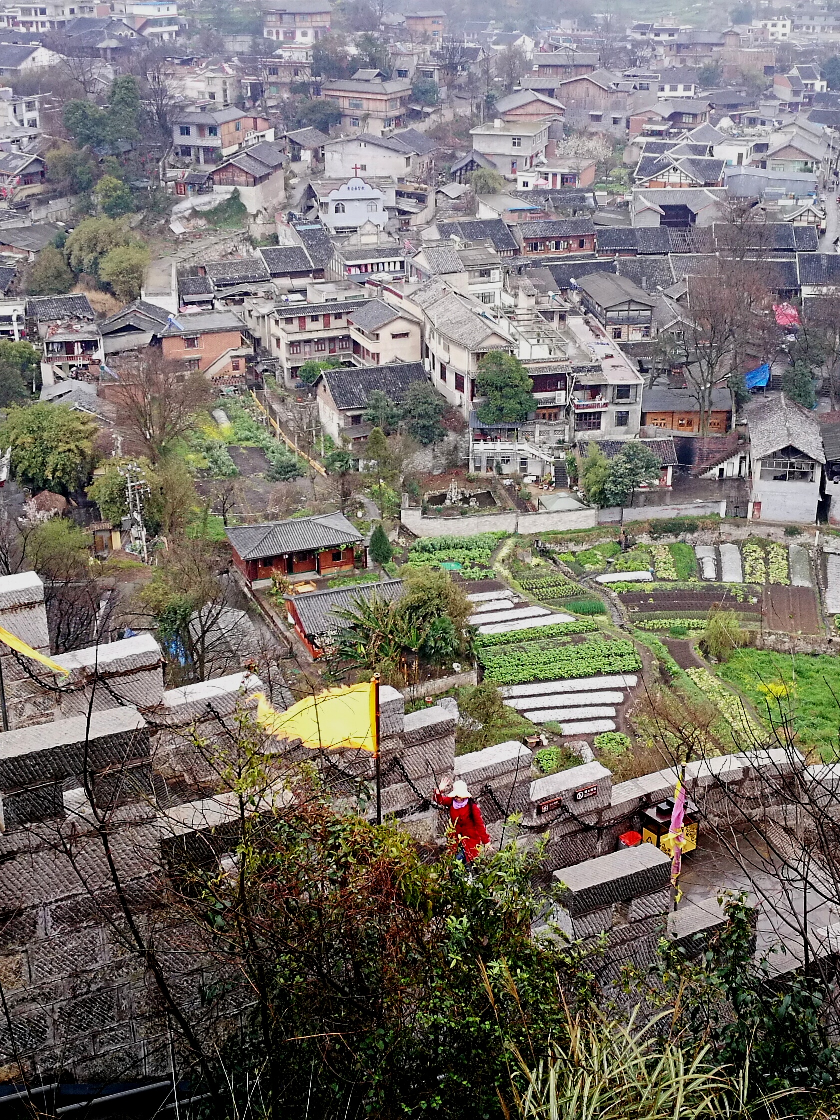 仙居下各镇多少人口_2019仙居下岸水库(2)