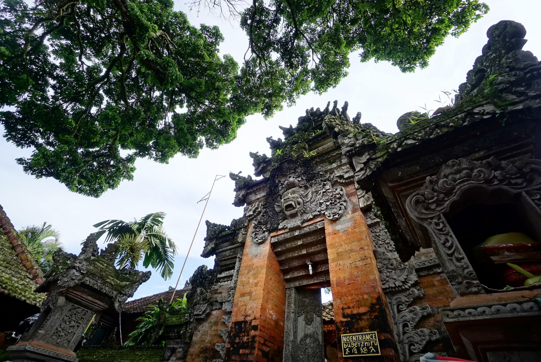 wKgBZ1kfABKAA38aAA7lkAI8vfM52.jpeg?imageView2%2F2%2Fw%2F680%2Fq%2F90